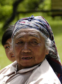Mapuche Elder