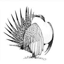 sage grouse logo by Barbara Bash
